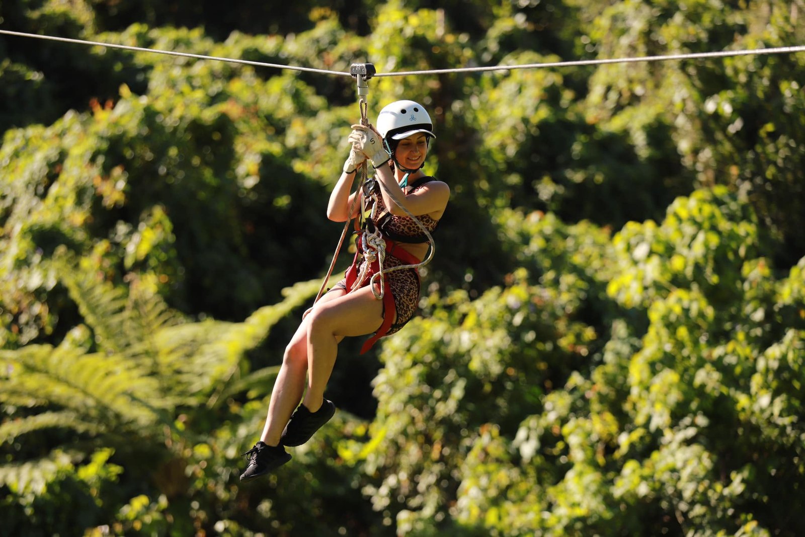 Vanuatu Jungle Zipline
